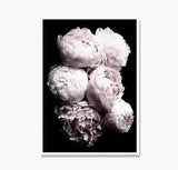 Pink Peony Print, Peony Poster, Peony Wall Art, Pink Peonies Print, Flower Art
