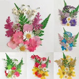 Natural Pressed Dried Flowers for Epoxy Resin Art Craft Pendant Jewelry Making