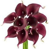 FiveSeasonStuff 10 Stems Real Touch (Burgundy Red) Calla Lilies Artificial Flower Bouquet, Wedding, Bridal, Party, Home Office D¡§?cor DIY