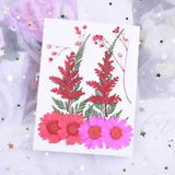 20 Pcs Preserved Flowers Muicle Plants Natural Wedding Decor Dried Set Specimen