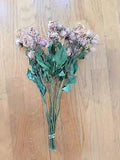 6/10/12 Air Dried Roses Stems