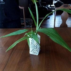 Orchid square planter