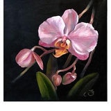 Orchid Painting Floral Original Art Flower Wall Art Orchid Painting on Canvas 12 by 12 Inches by ArtByBrencane