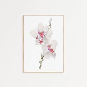 NEW! White Orchids Minimalist Flowers Printable Wall Art, Wild Flowers Botanical Print, Farmhouse Printable Wall Art, Organic Home Decor