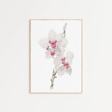 NEW! White Orchids Minimalist Flowers Printable Wall Art, Wild Flowers Botanical Print, Farmhouse Printable Wall Art, Organic Home Decor