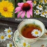 Herbal Tea Lovers Seed Collection, Variety Multi Pack, Grow Your Own Tea, Echinacea, Chamomile, & Chrysanthemum, Tisane Flower Seeds + Gift