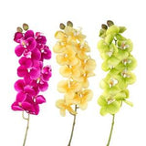 Real Touch Faux Orchid Stem 29'' Tall, Artificial Orchid Flower, 3D Printing Butterfly Orchids Arrangement, Centerpieces, Table Decoration