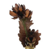 Artificial Natural Dried Flower Bunch Bouquet Wedding Decor DIY Preserved Flower
