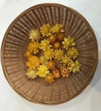 A pack of Assorted Shades of Yellow Strawflowers (dried) ready for use crafting
