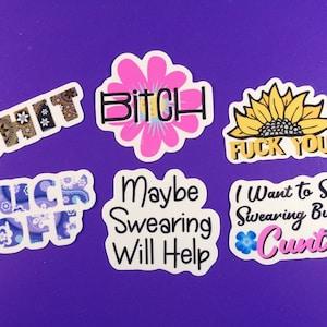 Swear Sticker Pack - Set Of 6 Girly Swearing Die Cut Stickers - Pink Flower Sunflower F Word B Word C Word Rude Adult Language Sassy Curse