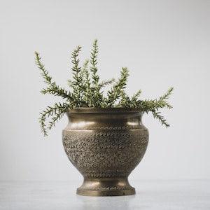 Vintage Brass Etched Pedestal Planter | Brass Plant Holder | Squatty Brass Vase for Floral Arrangement | Modern Farmhouse Home D???cor