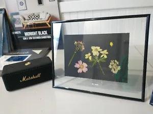 Wild Alaska Handmade Framed Pressed Flowers And Colored Art Wall Decor 8x10 in.