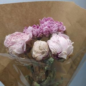 Dried Light Pink Peonies Flowers Bunch - Wedding Decoration - Rustic Bouquets - Wreaths