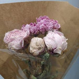 Dried Light Pink Peonies Flowers Bunch - Wedding Decoration - Rustic Bouquets - Wreaths