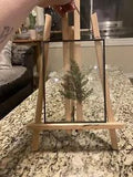Framed in Glass Pressed Fern Frond With Chain to Hang 6 X 8