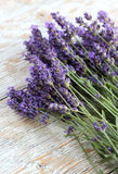 English Lavender Recipes, Ideas & Tips Flower Delivery
