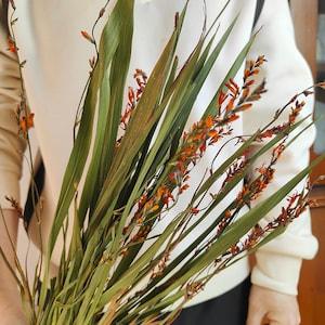natural  orange orchid bunch??dried flame orchid flower??dried flower for vase filling??home decoration??dried flower art