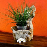 Root wood planter | Flowerpot made of solid wood for orchids