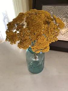 Golden YARROW Bunch BOUQUET Bundle DRIED FLOWERS