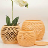 Bomi Planter Trio by Alt???: Small, Medium & Large (3 pots)