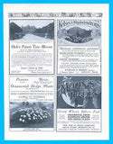1905 PEONIES ROSES Garden Flowers antique PRINT AD all 4 connected on one page
