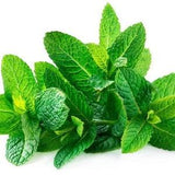 100+ seeds edible Organic Mojito Peppermint Seeds, Garden Herb Seeds, Medicinal Seeds.  Grow your own organic healthy herbal tea.