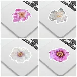 Peony Flowers 4 Pack 2-3 Inch Stickers