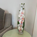 White and purple orchid, Real Touch, silk floral arrangement, faux water, orchid/orchids, phalaenopsis, plant, white, centerpiece