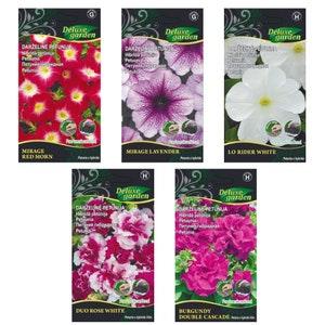 Carpet Petunia Seeds - Beautiful Garden Bloom | Etsy