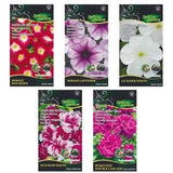 Carpet Petunia Seeds - Beautiful Garden Bloom | Etsy