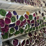 2022 new dried rose bouquet??dried rose flowers bouquet??dried flowers arrangement??desk decor home decor??wedding decor