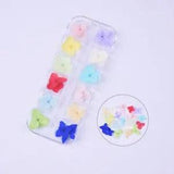 24PCS Real Pressed Hydrangea flowers collection, 12 colors for craft FCD504#1