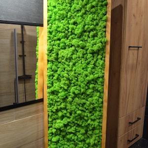 Moss frame, Moss Wall, 47x16'', Moss Wall Art, Real Moss, Nature Room Decor, Chartreuse green, Art Modern wall