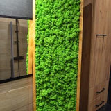 Moss frame, Moss Wall, 47x16'', Moss Wall Art, Real Moss, Nature Room Decor, Chartreuse green, Art Modern wall