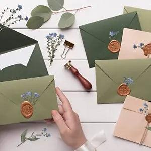 50 Pcs Natural Forget Me Not Pressed Dried Flowers Blue Don't Forget Me Dried