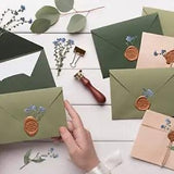 50 Pcs Natural Forget Me Not Pressed Dried Flowers Blue Don't Forget Me Dried