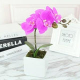Decorleaf Artificial Phalaenopsis | White Pot Artificial Bonsai Tree | Home Decor Plant Ornaments | Mother's Day Gifts | Indoor Fake Flowers