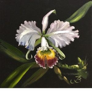 Orchid Painting Floral Original Art Flower Wall Art Cattleya Flower Small Oil Painting 8 by 8 Inches by ArtByBrencane