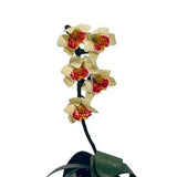 Dollhouse Miniature 1" Scale Orchid Plant