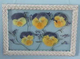 Dried Pressed Pansies in Ornate Vintage Silver Floating Frame: 7.5" X 5.5"