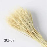 30 PCS DRIED WHEAT BUNCHES ARRANGEMENT WEDDING PARTY BIRTHDAY NATURAL DECORATION