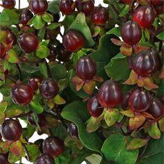 Burgundy wedding flowers wholesale ? bulk burgundy flowers wedding in FiftyFlowers Flower Delivery