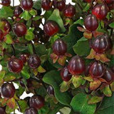 Burgundy wedding flowers wholesale ? bulk burgundy flowers wedding in FiftyFlowers Flower Delivery