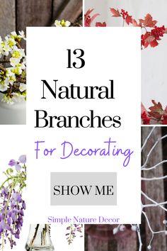 13 Natural Branches For Decorating Flower Delivery