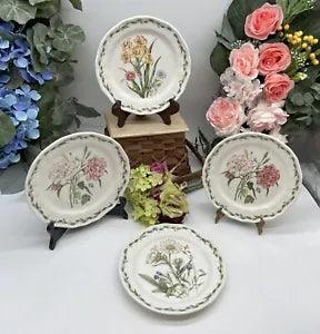 Noritake Gourmet Garden 4 Salad Plates 1 Daffodil, 1 Silphiu, 2 Carnation 8 1/4"