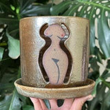 Woman Body Gold Grey Brown Orchid Planter Pot with Holes and Optional Saucer