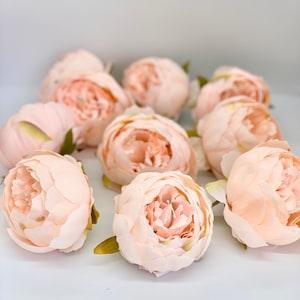 4" Double Peony in Pale Peachy Pink Closed Pink Peony Blush Peony Closed Light Pink Peony Blush Pink Peony Wedding Peony Flower Cake Peony