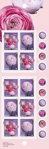 2023 Canada Ranunculus Booklet Of 10 Stamps Flowers Two Designs (Single & Bunch)