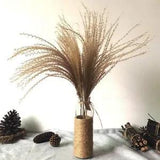 Green Empire 30Pcs  Natural Dried Pampas Grass Decor, Dry Reed Grass Plumes