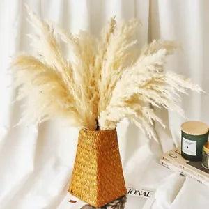 Dried pampas grass decor plants natural wedding flowers bunch natural dried flow